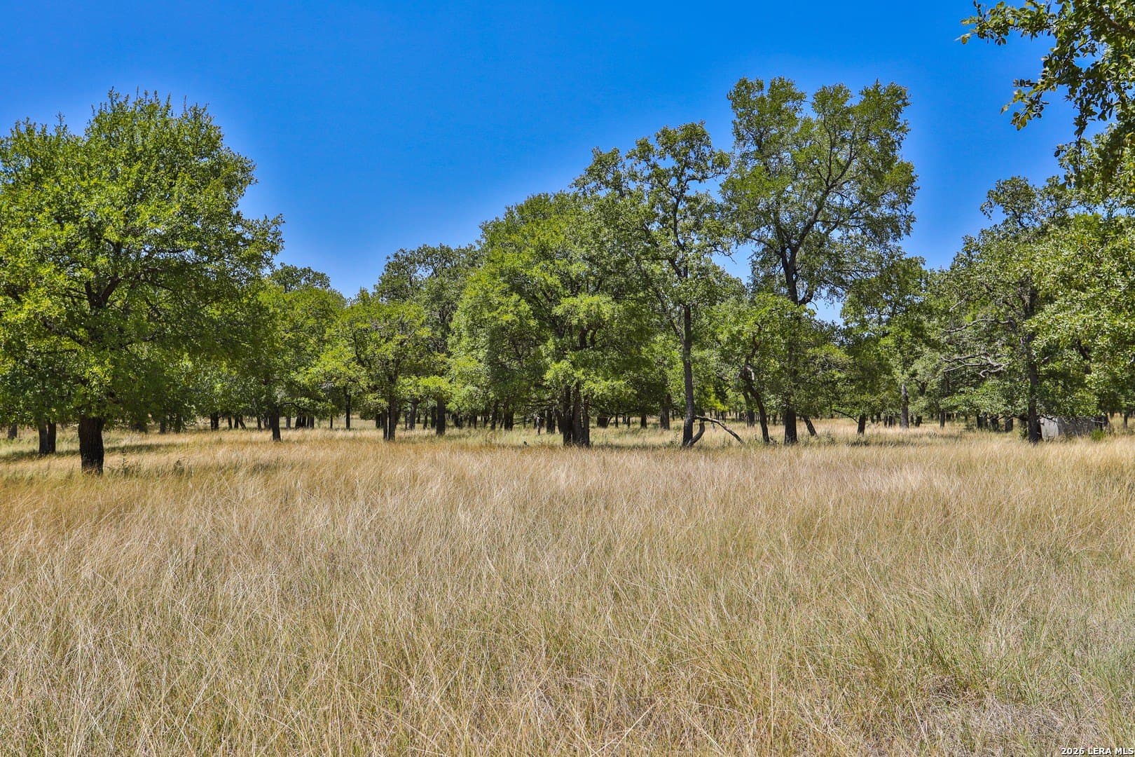 15.96 acres in Comal County