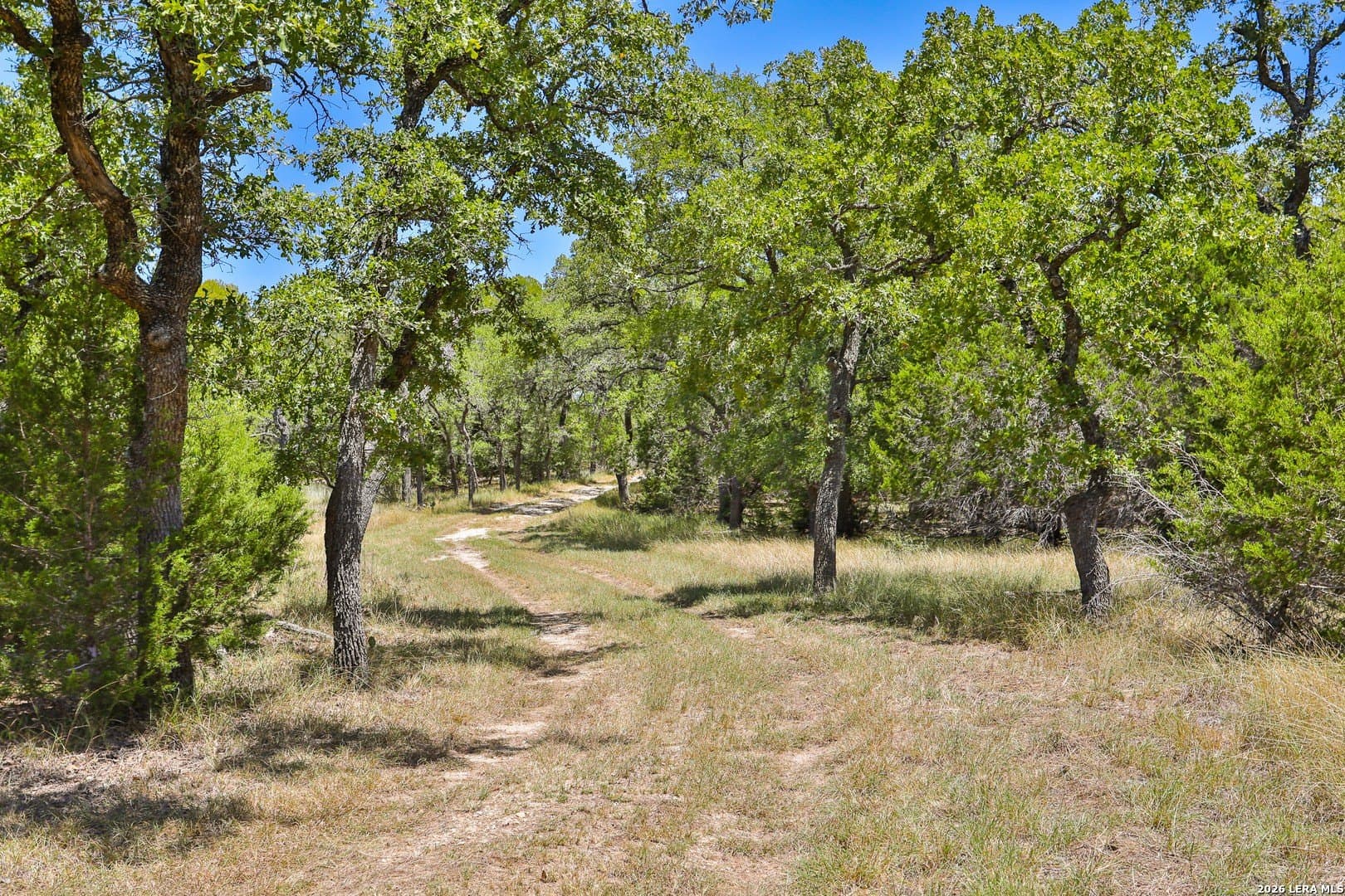 15.96 acres in Comal County gallery image 2
