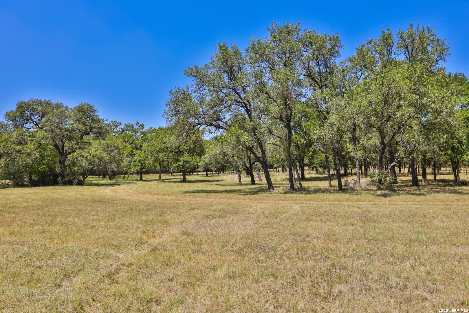 15.96 acres in Comal County gallery image 3