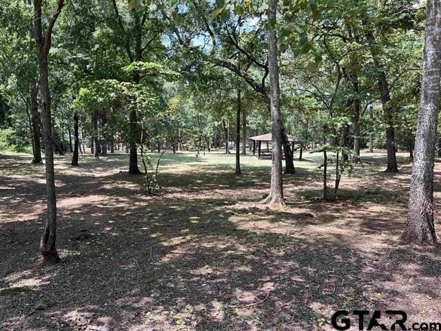 0.5 acres in Smith County - photo 9