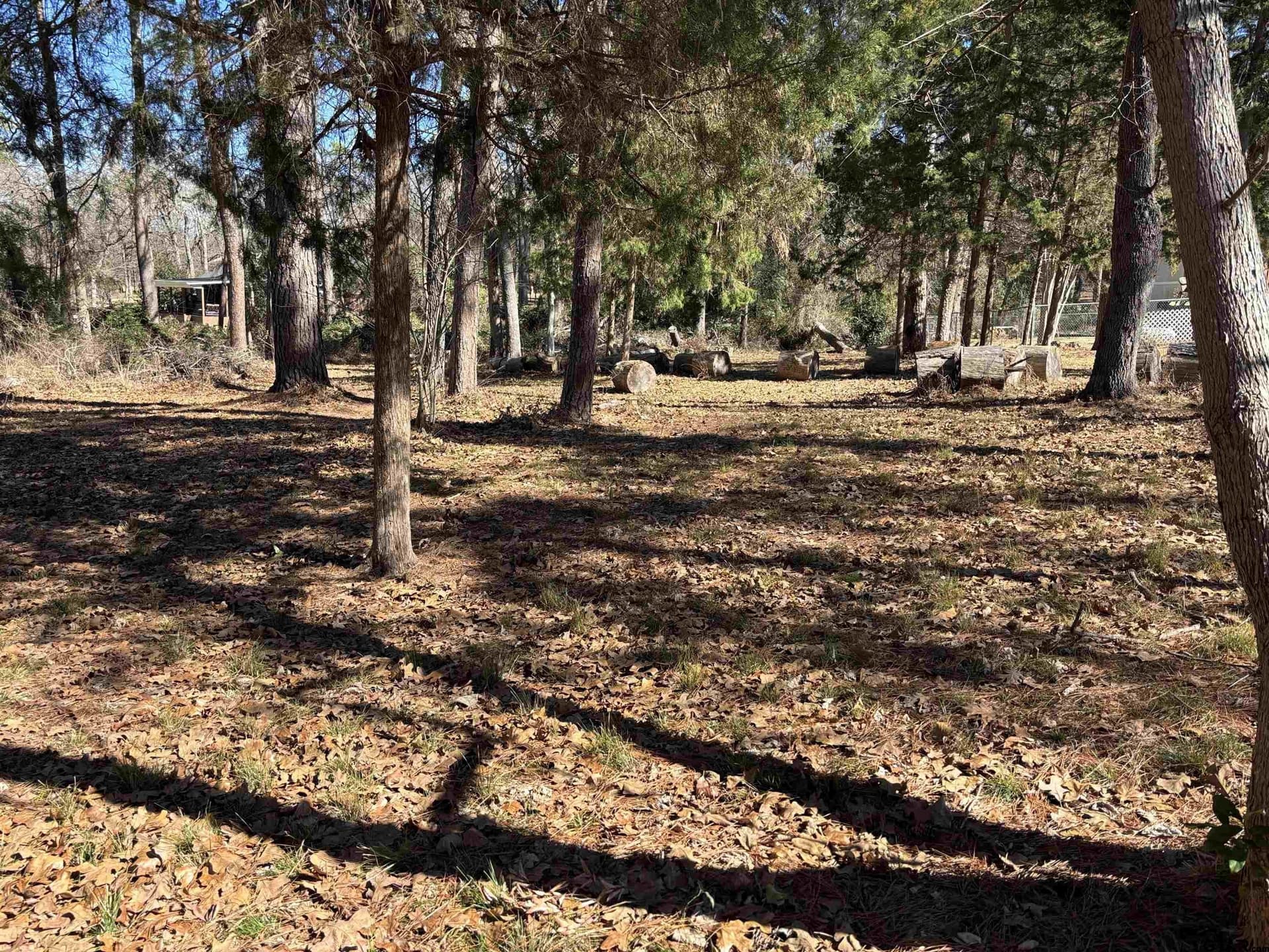 0.5 acres in Smith County - photo 6