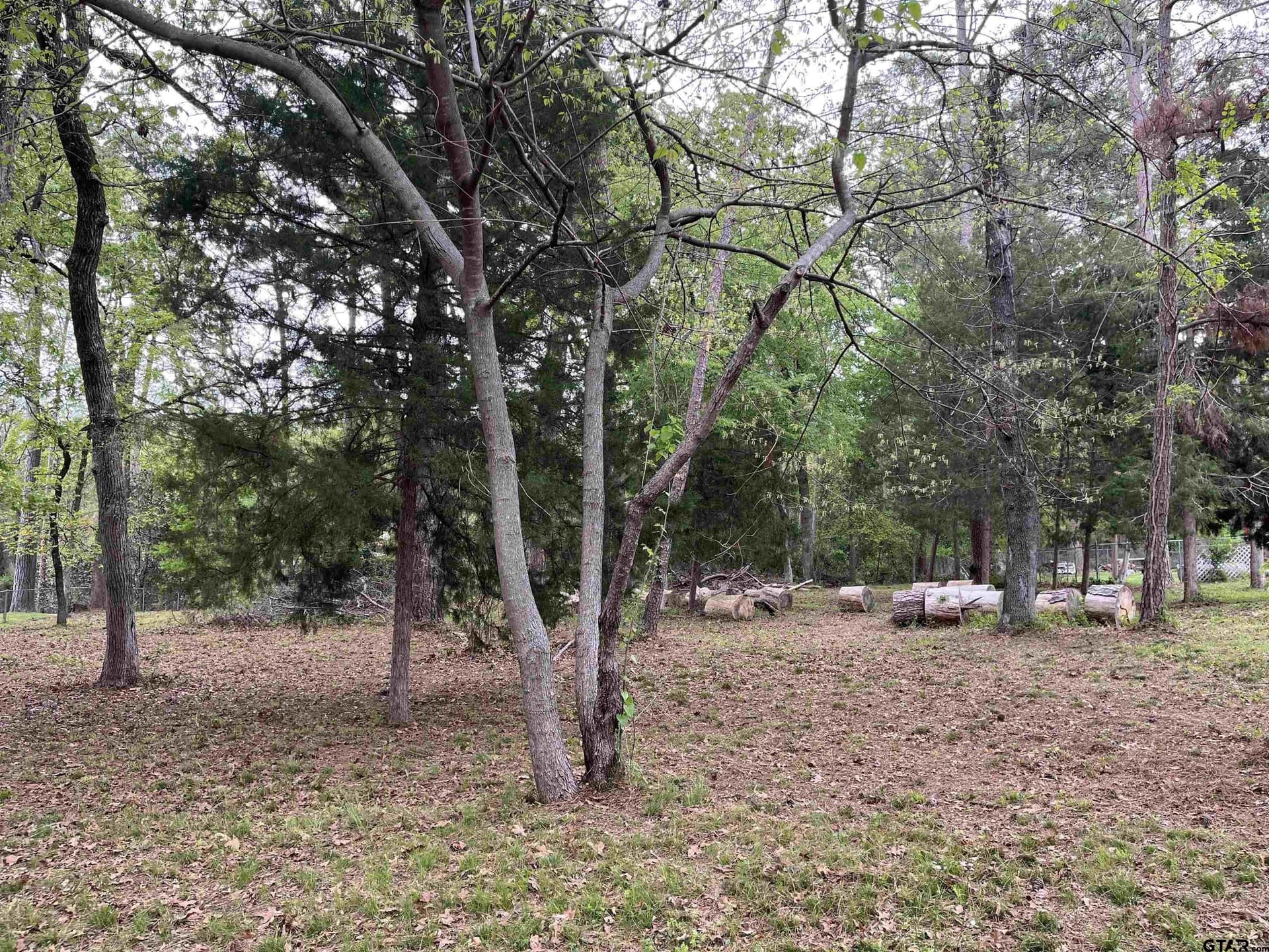 0.5 acres in Smith County gallery image 4
