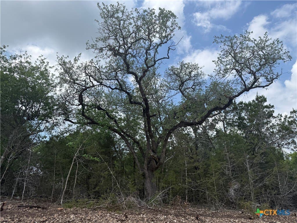 0.85 acres in Bell County gallery image 4