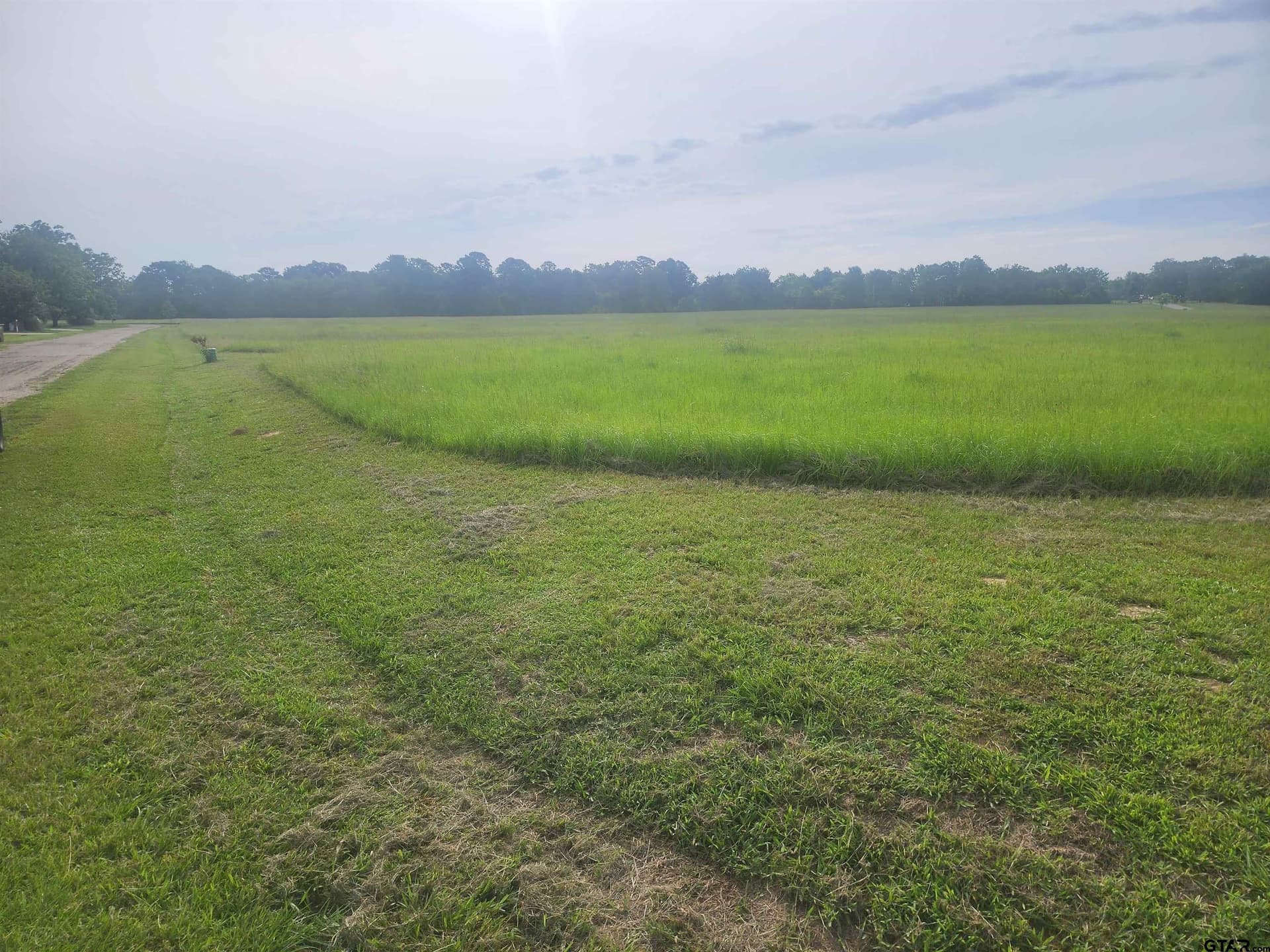4.37 acres in Camp County gallery image 2