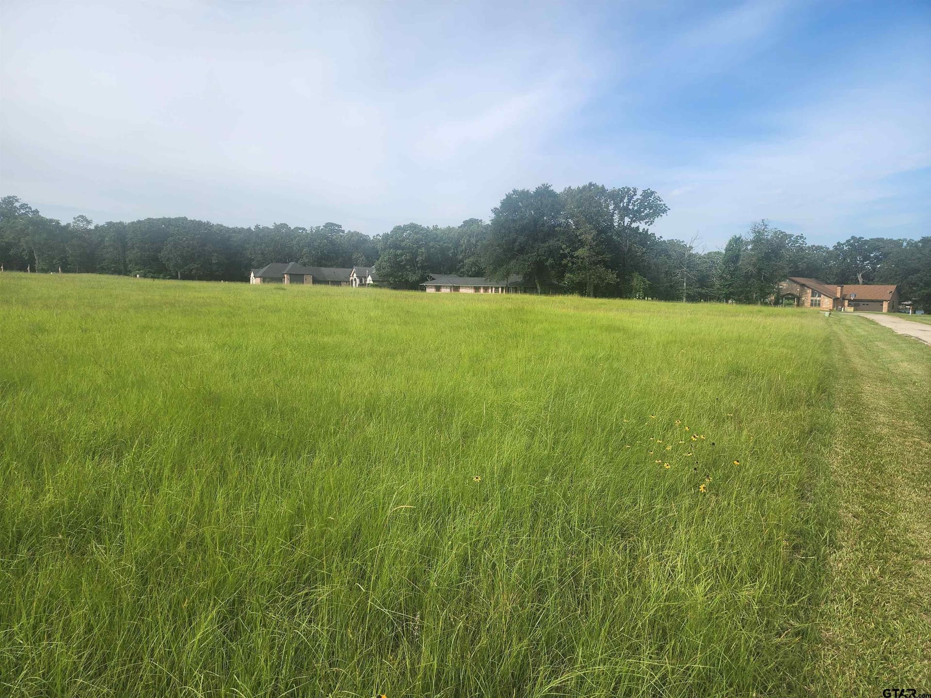 4.37 acres in Camp County featured view