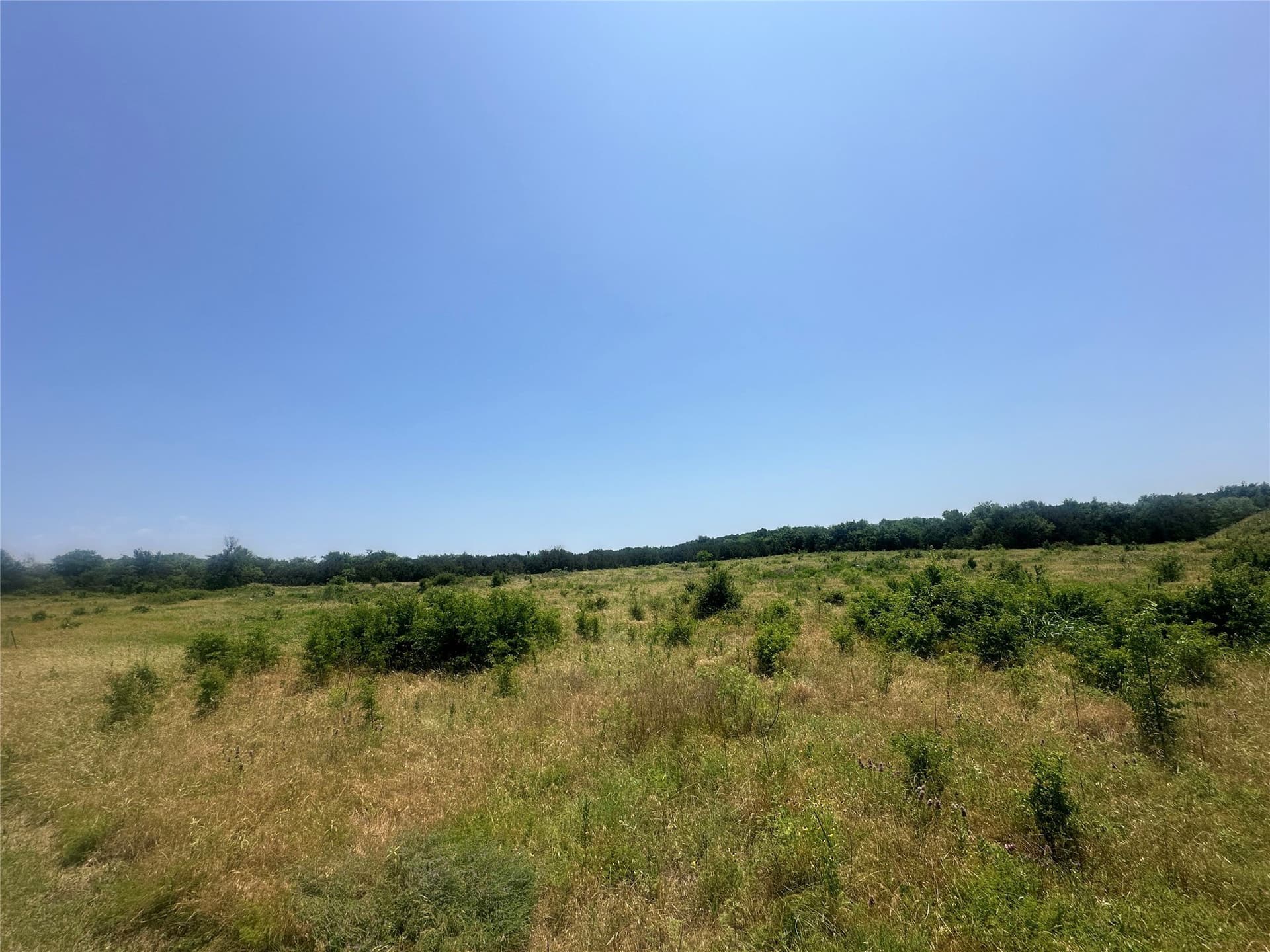 25 acres in Palo Pinto County - photo 17