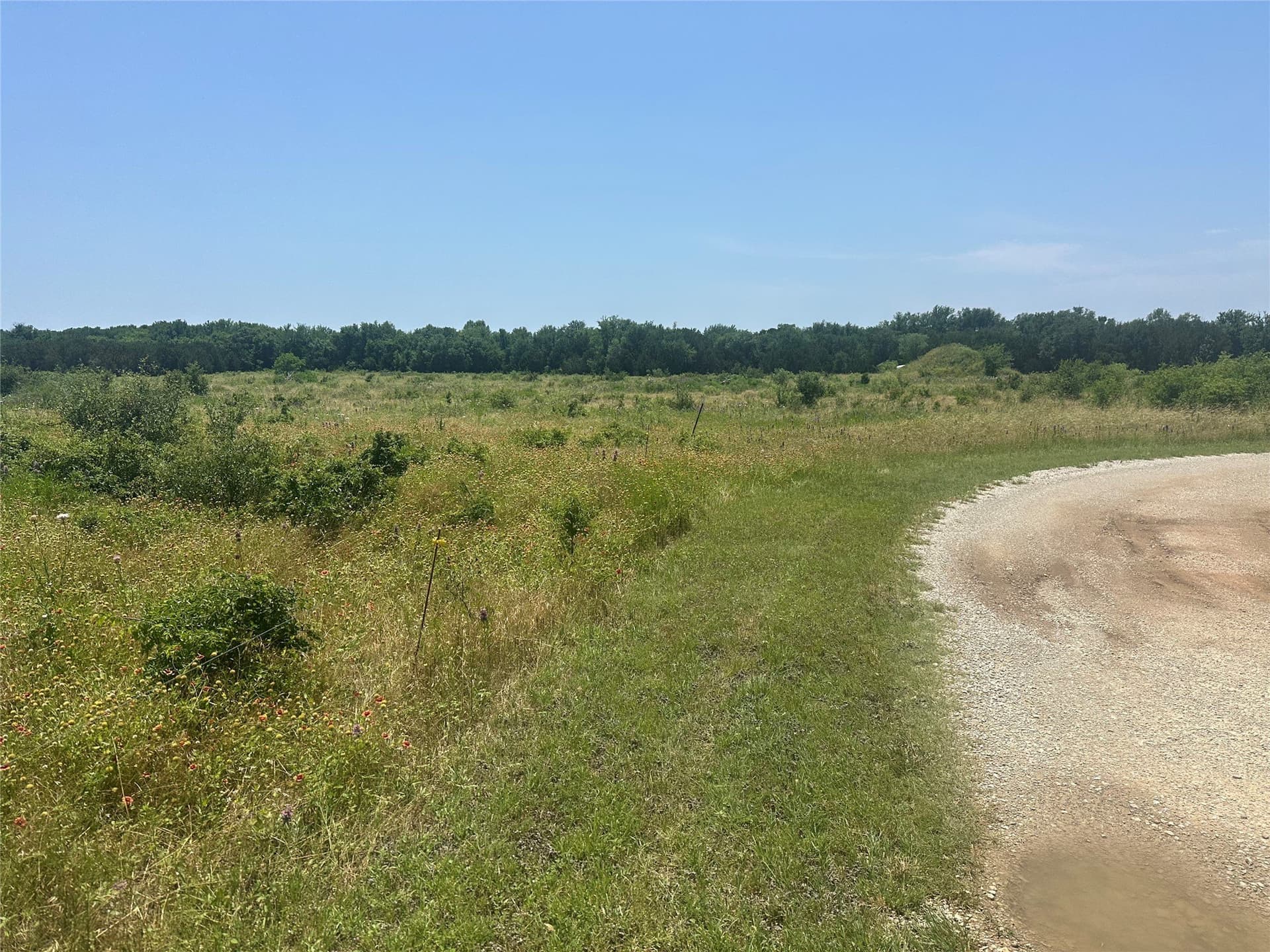 25 acres in Palo Pinto County - photo 4