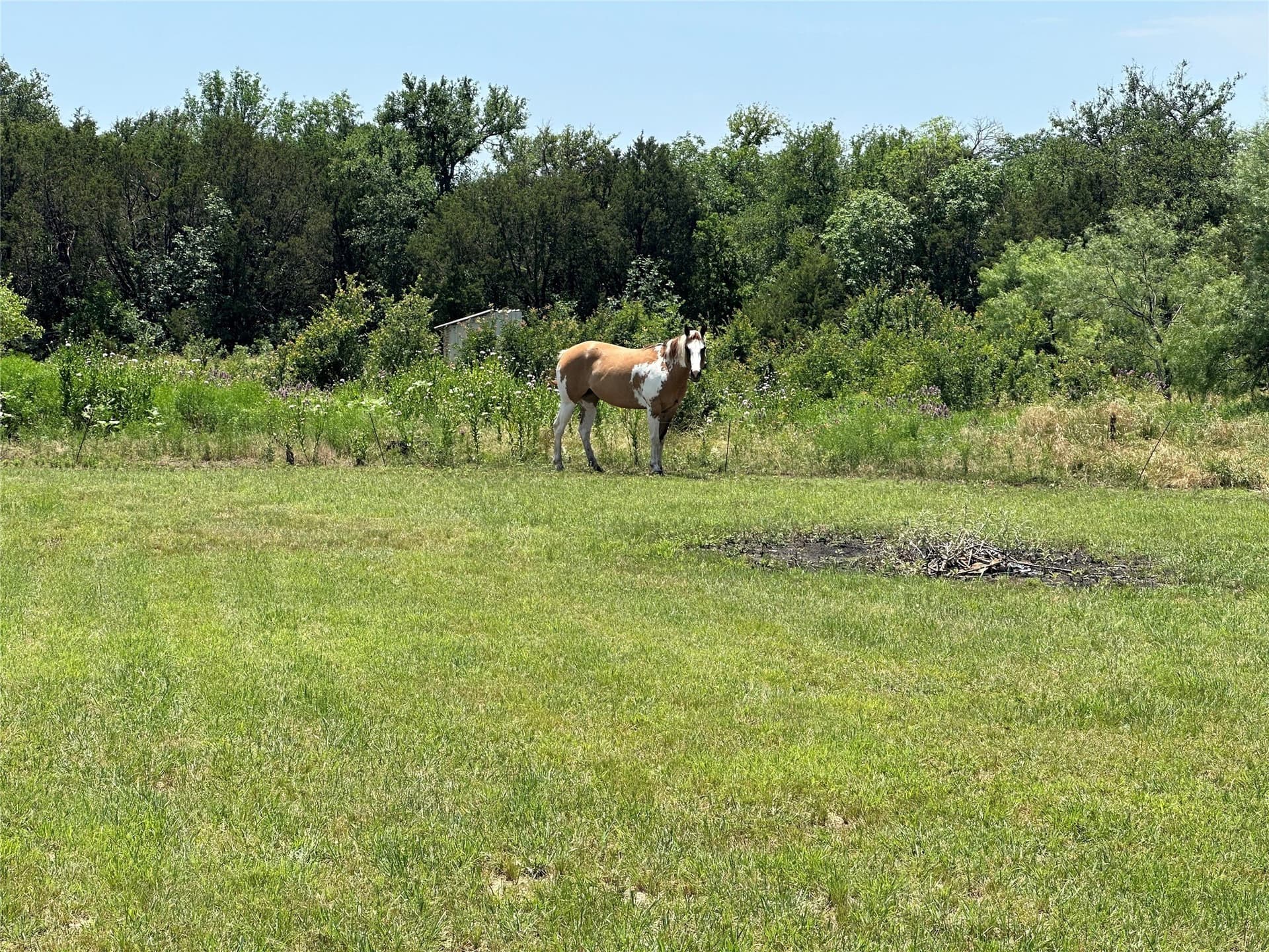 25 acres in Palo Pinto County - photo 9