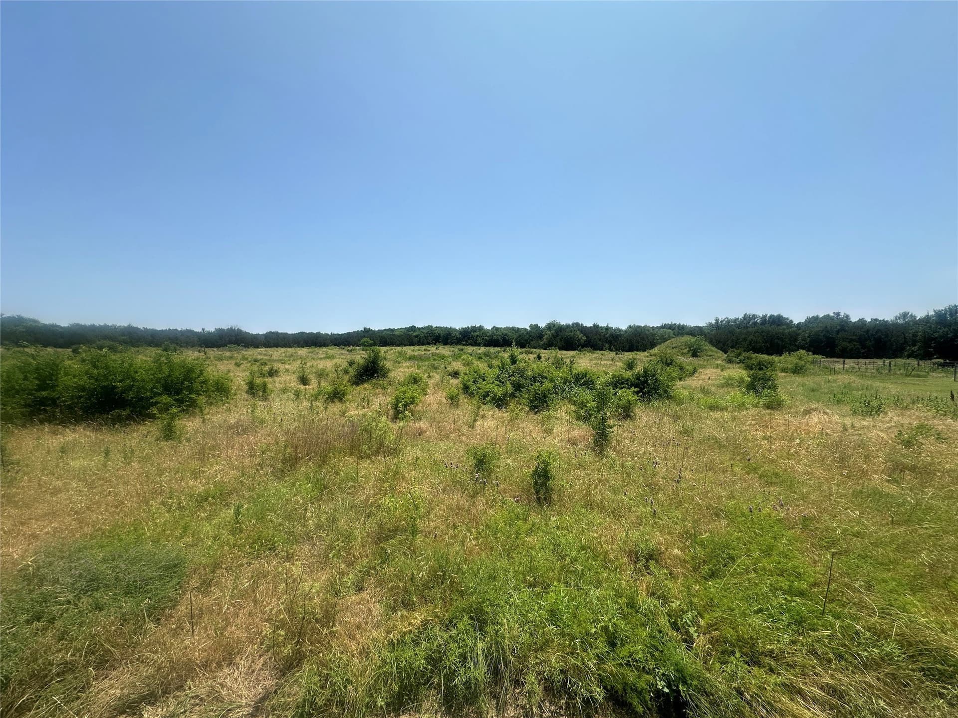 25 acres in Palo Pinto County - photo 16