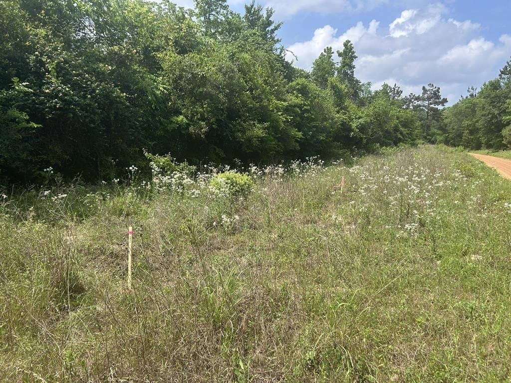 2.36 acres in Texas County