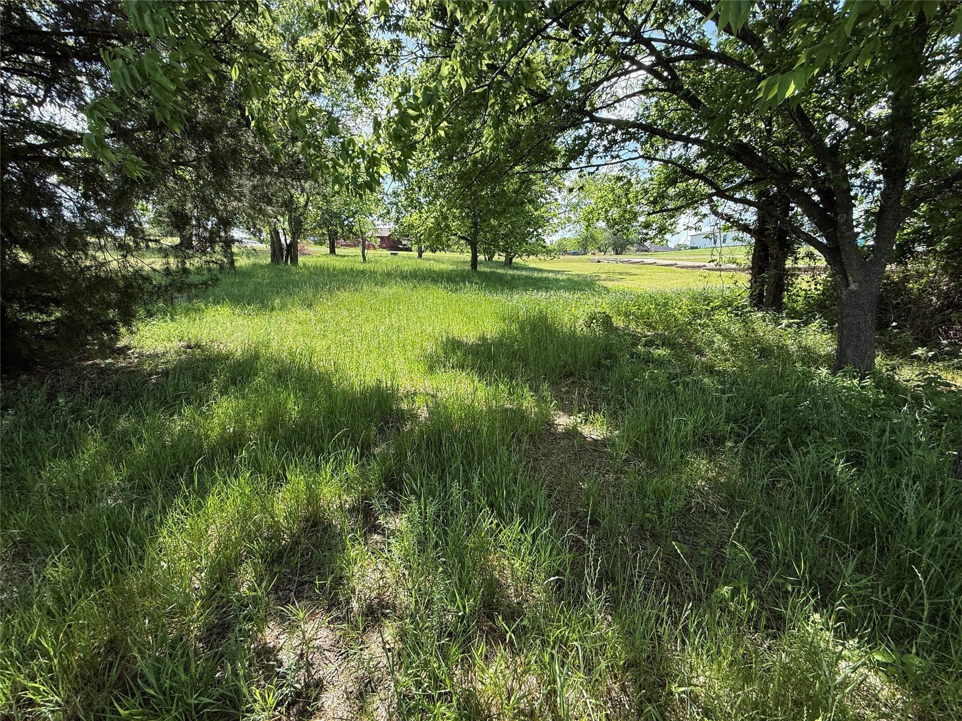 0.58 acres in Navarro County - photo 26