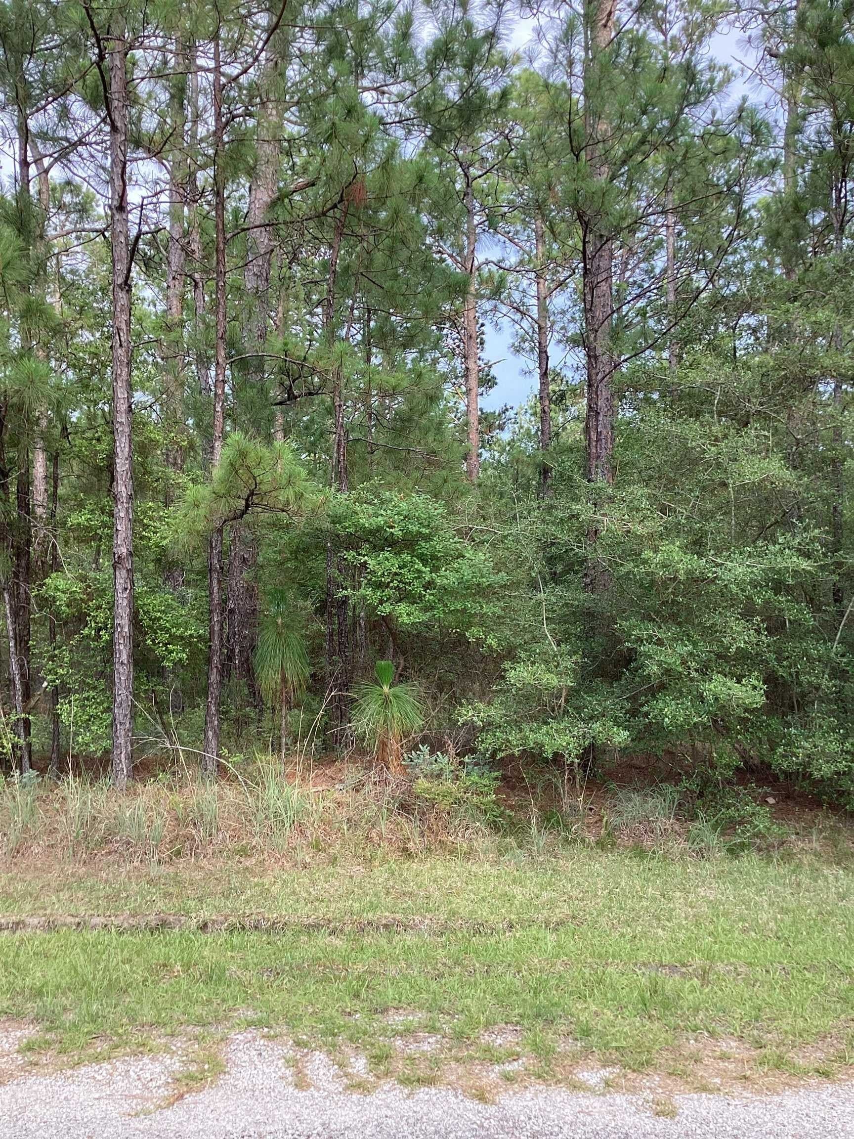 0.29 acres in Texas County gallery image 4