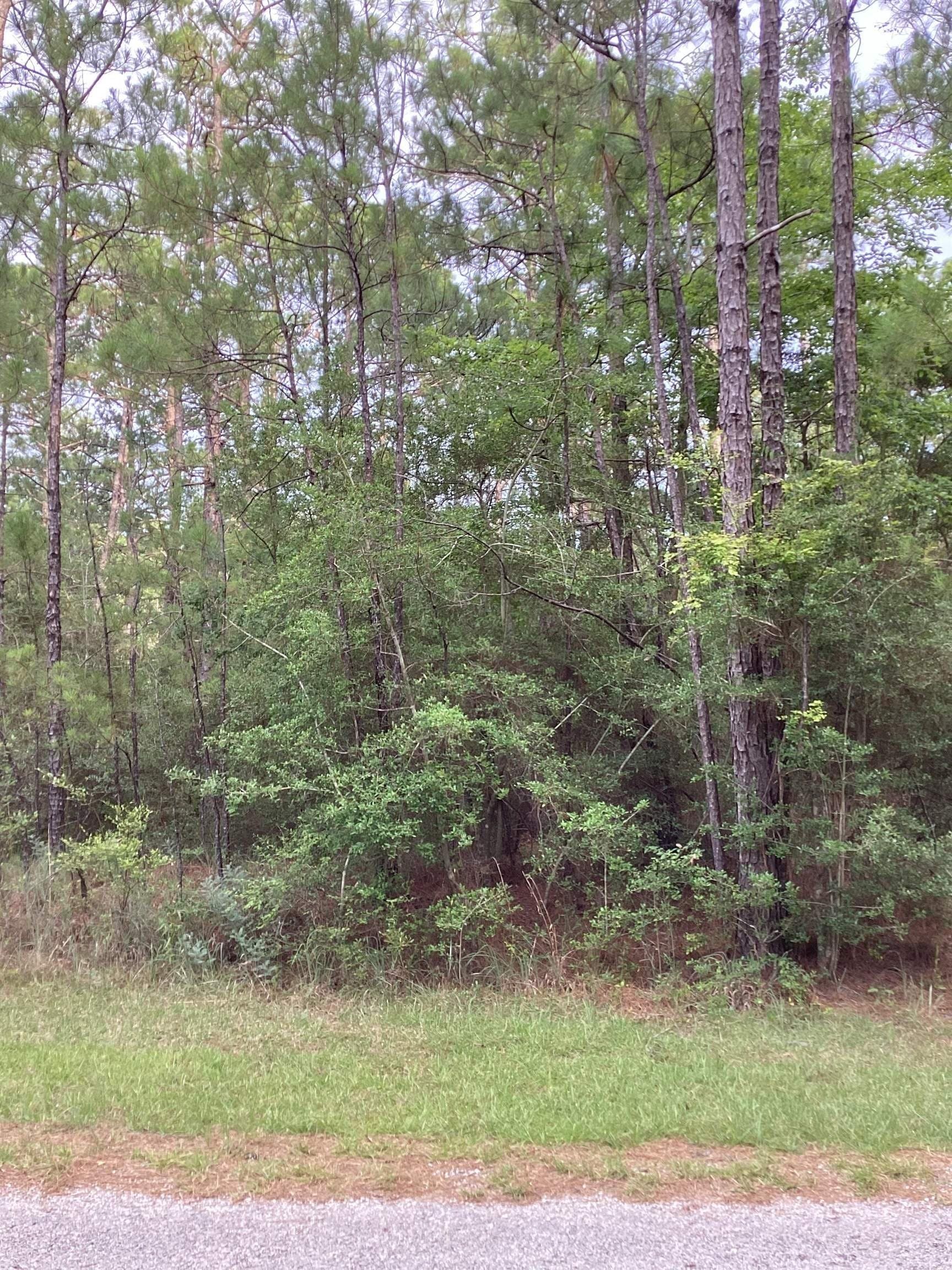 0.29 acres in Texas County gallery image 2