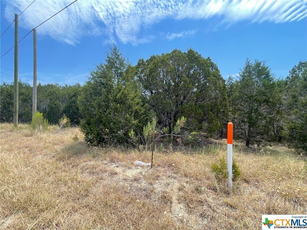 6.74 acres in Bell County gallery image 3