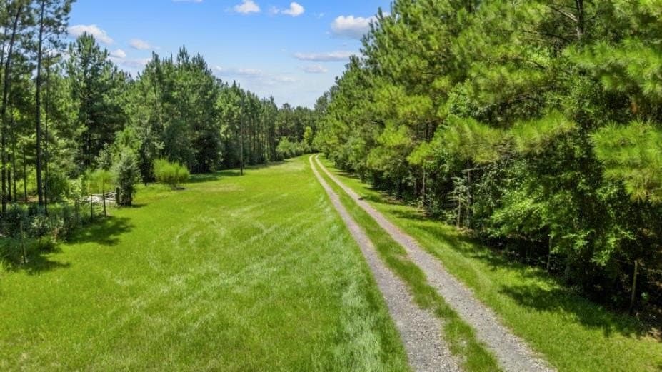 39.85 acres in Texas County