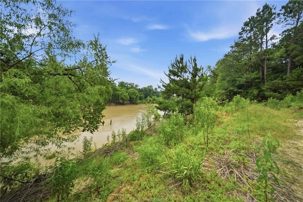 27.26 acres in Leon County - photo 22
