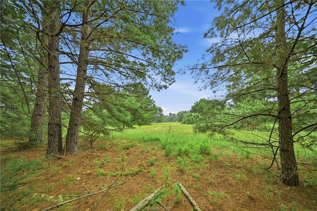 27.26 acres in Leon County - photo 20