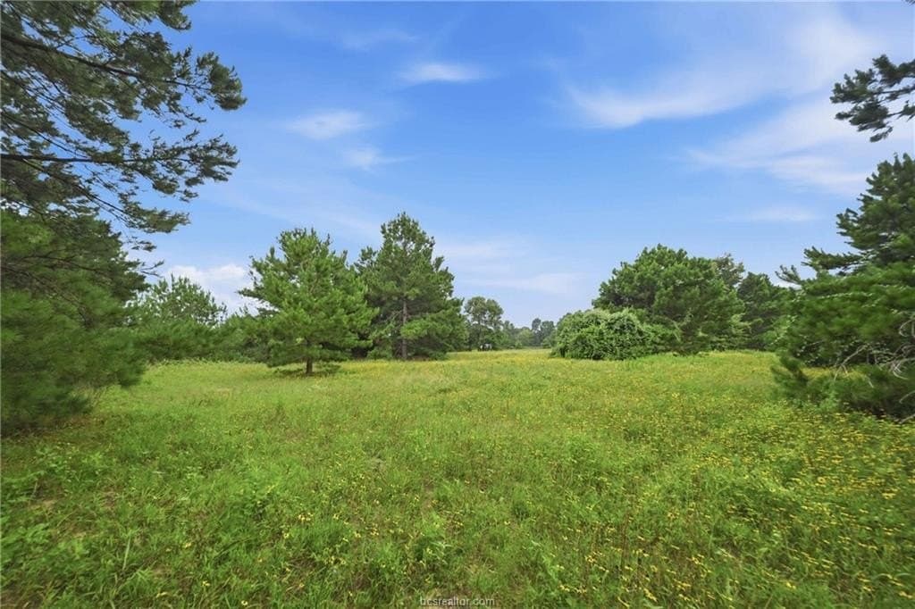27.26 acres in Leon County featured view