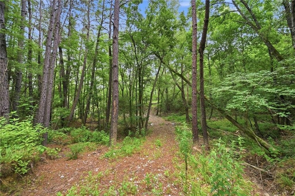 27.26 acres in Leon County - photo 6
