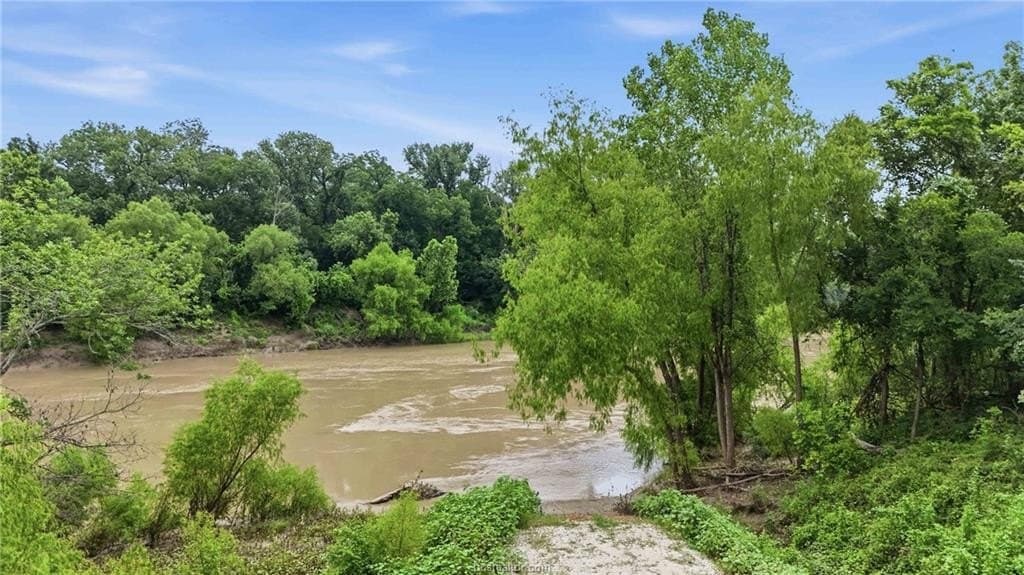 27.26 acres in Leon County gallery image 3