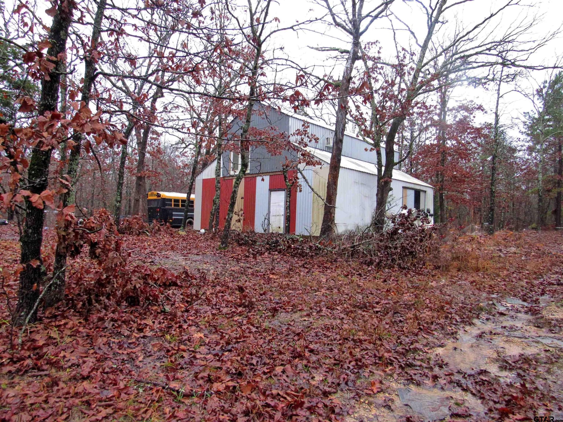 30 acres in Lamar County gallery image 3