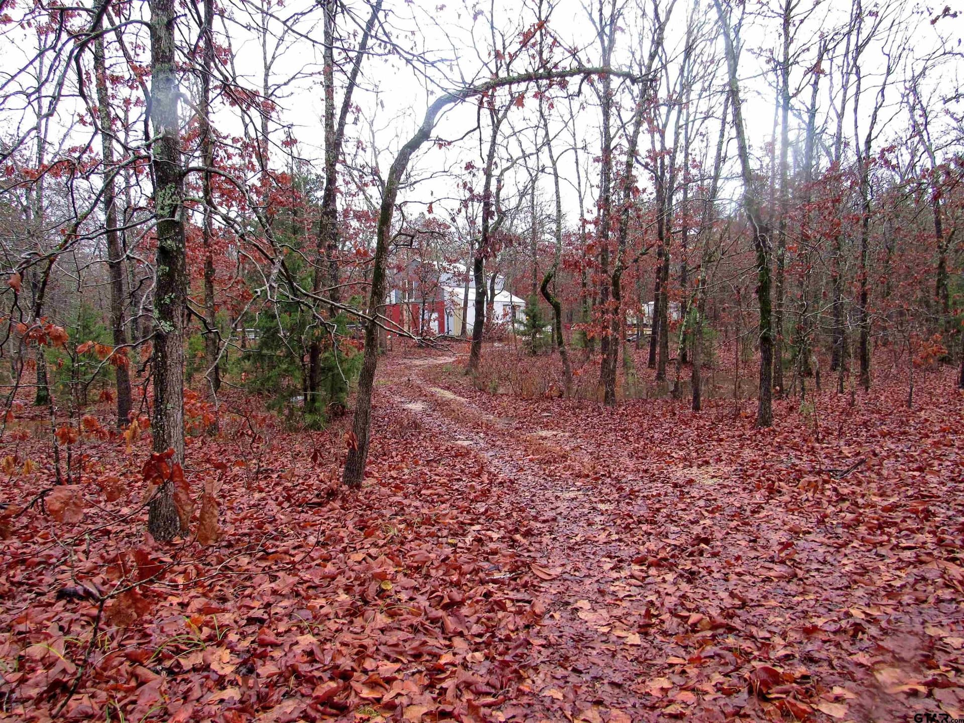 30 acres in Lamar County gallery image 2