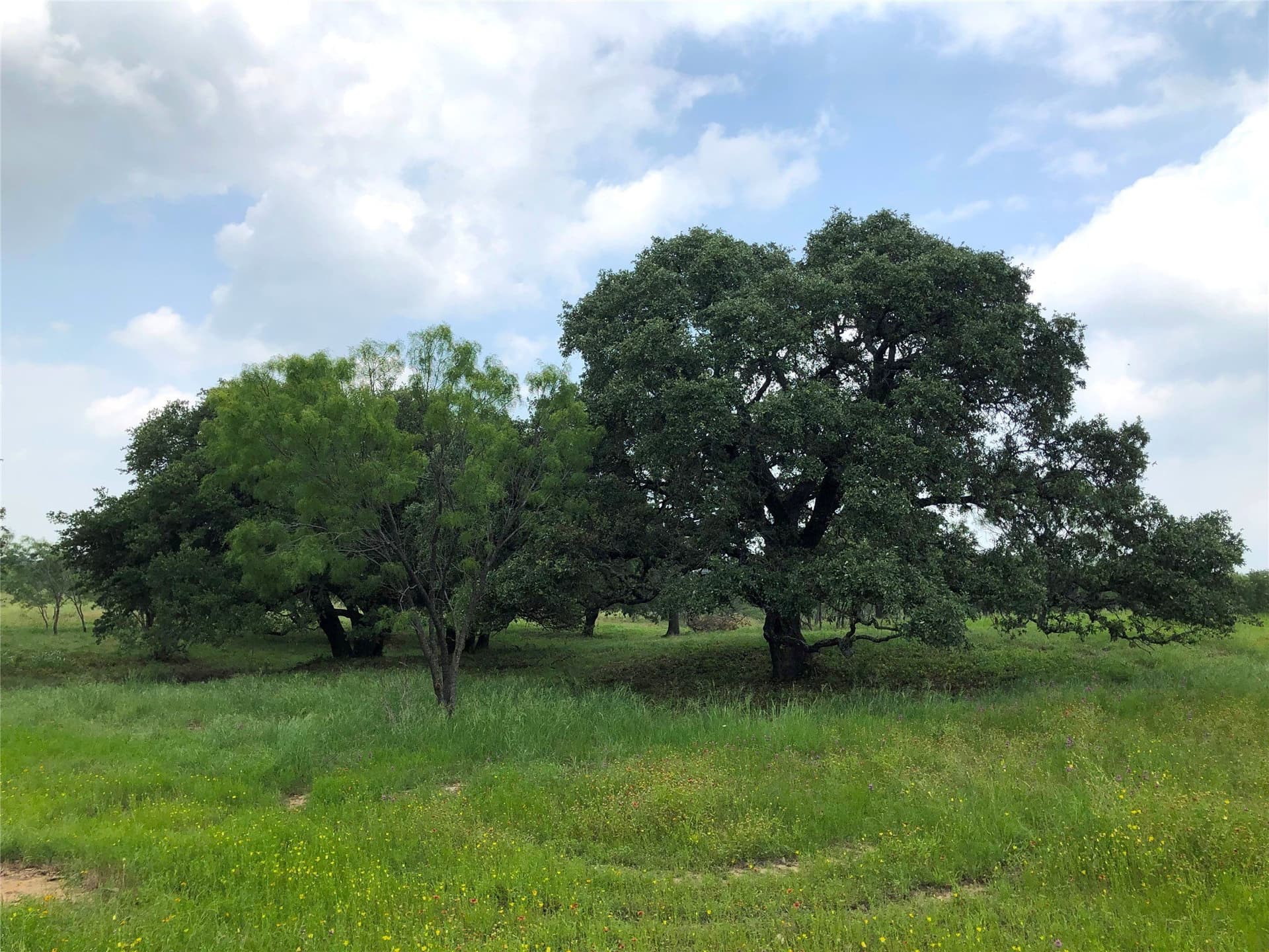10.01 acres in Brown County