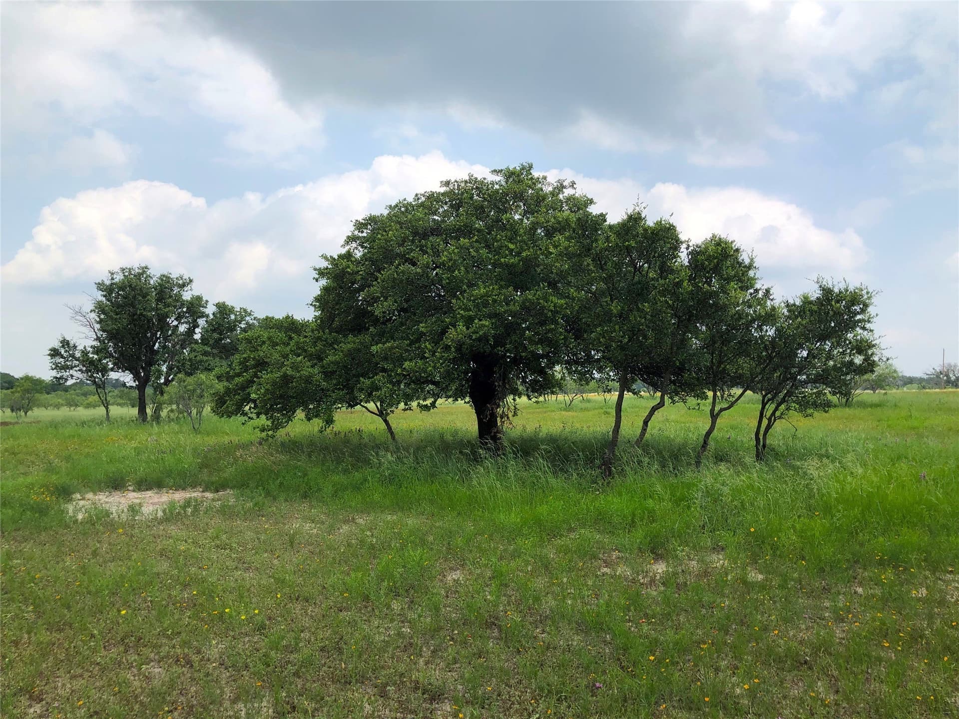 10.01 acres in Brown County featured view