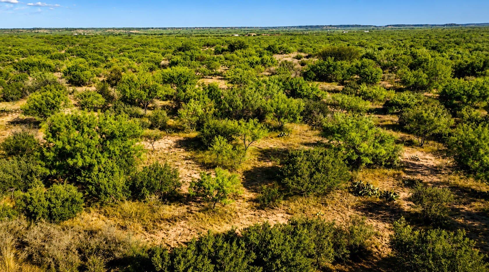 78.53 acres in McCulloch County - photo 14