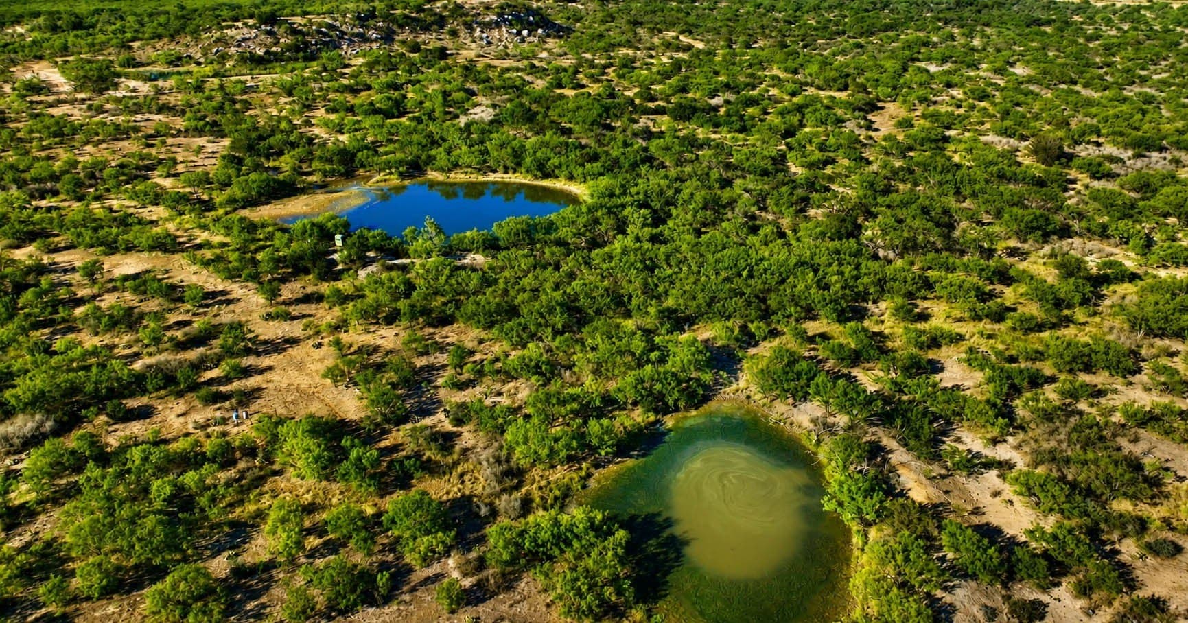 78.53 acres in McCulloch County - photo 3
