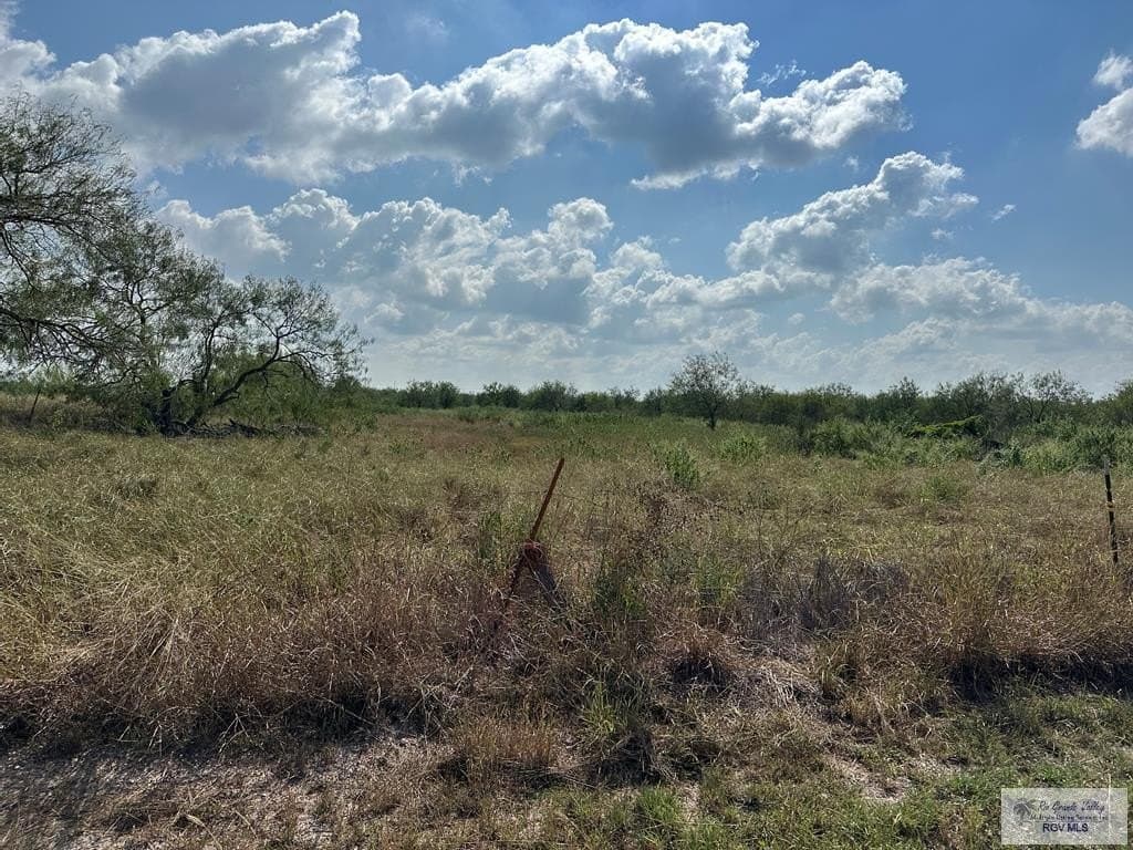 10.01 acres in CAMERON County gallery image 3