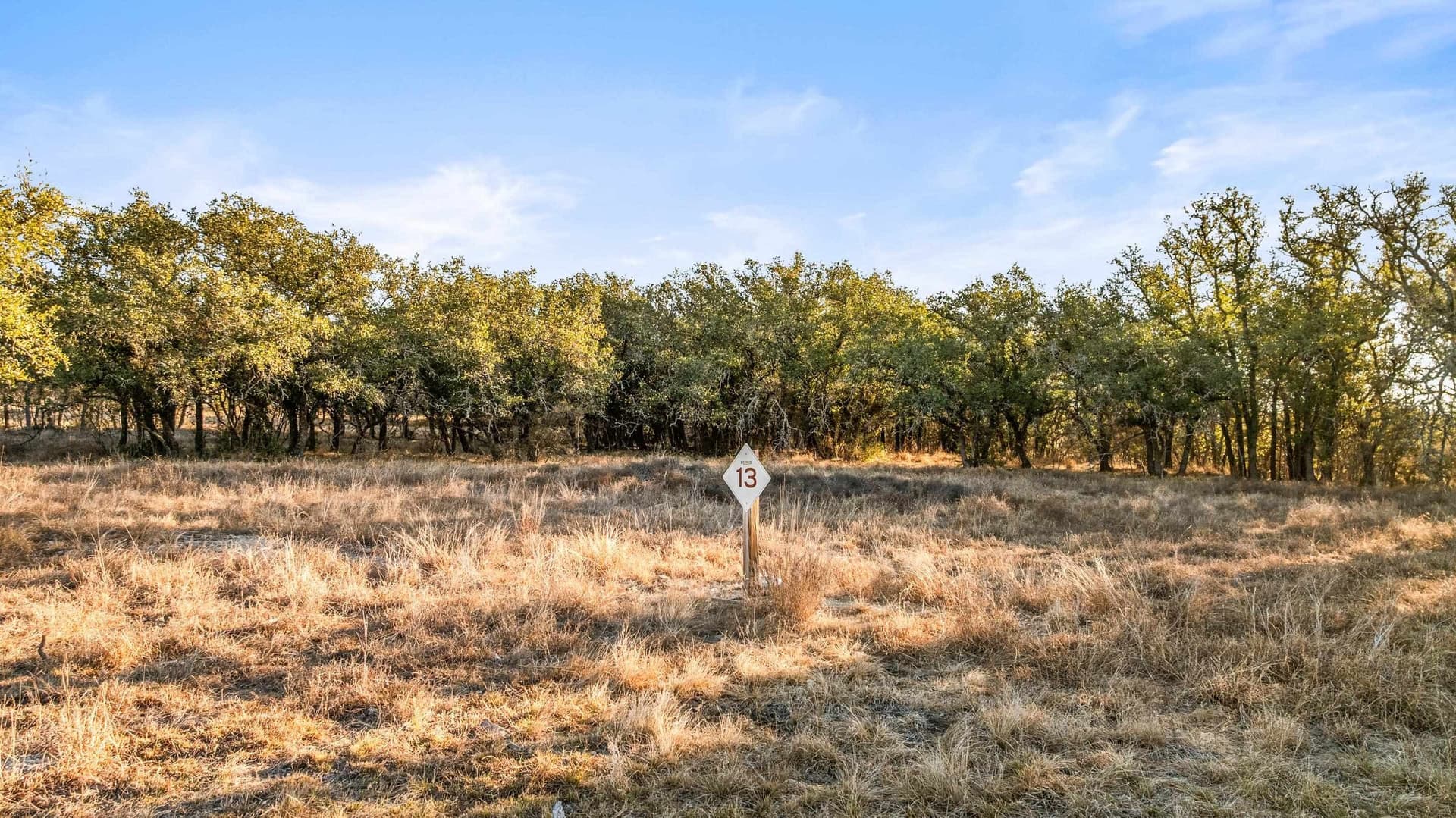 10 acres in Blanco County gallery image 3