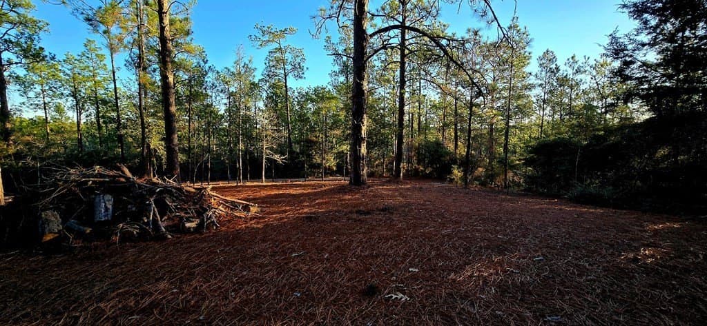 0.23 acres in Texas County gallery image 3