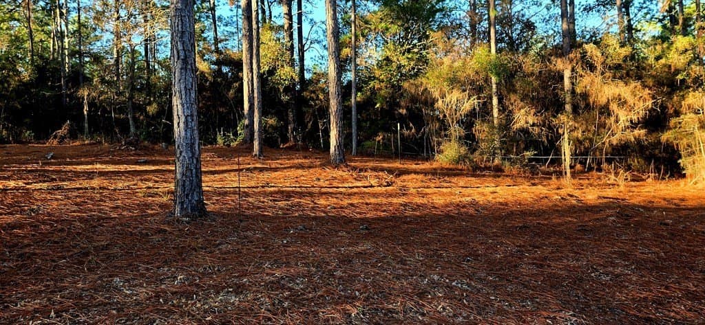 0.23 acres in Texas County featured view
