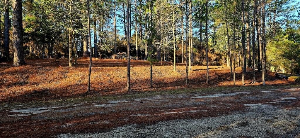 0.23 acres in Texas County