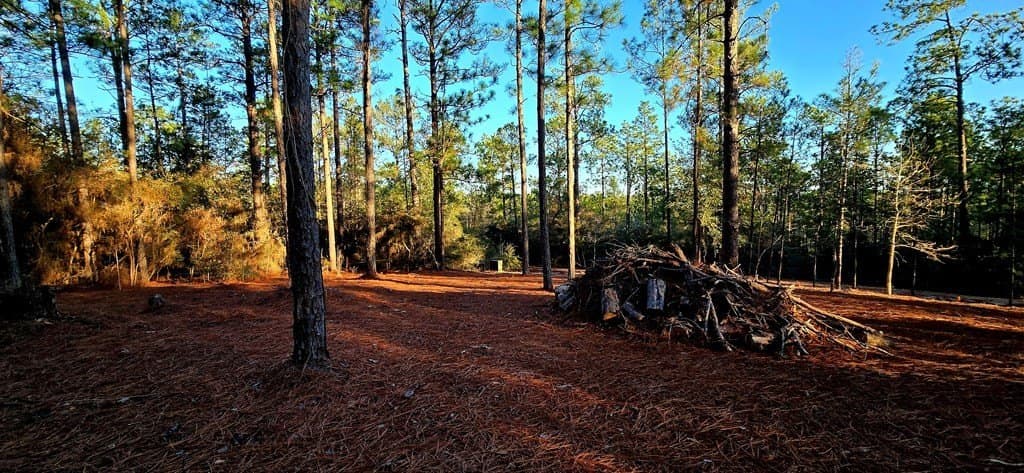 0.23 acres in Texas County gallery image 2