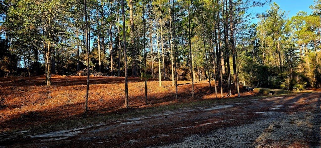 0.23 acres in Texas County - photo 6