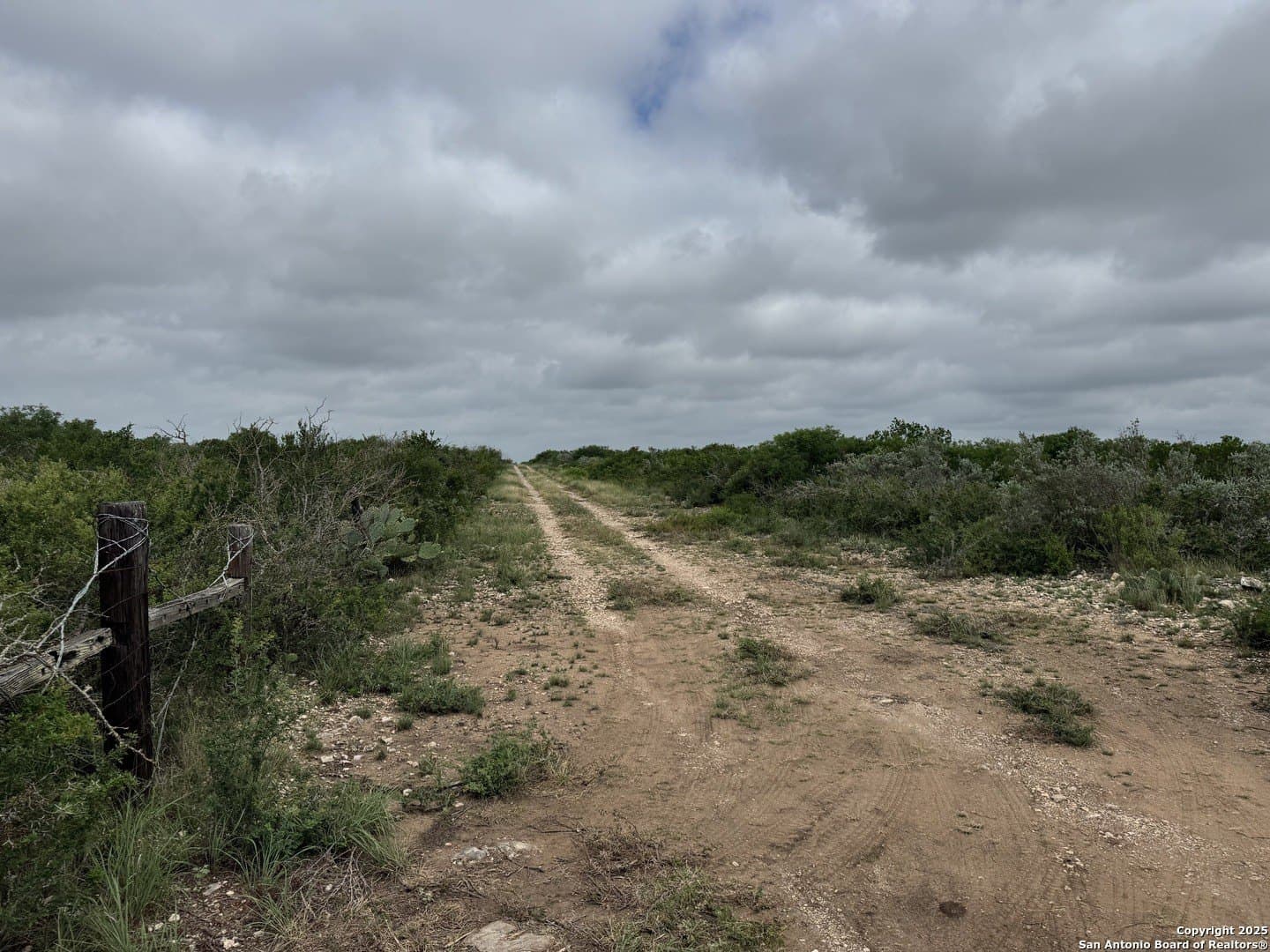 50 acres in Uvalde County gallery image 4