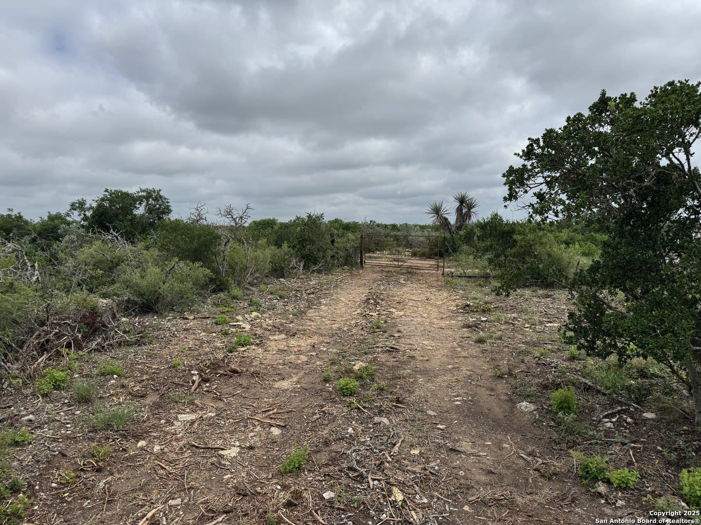50 acres in Uvalde County gallery image 2