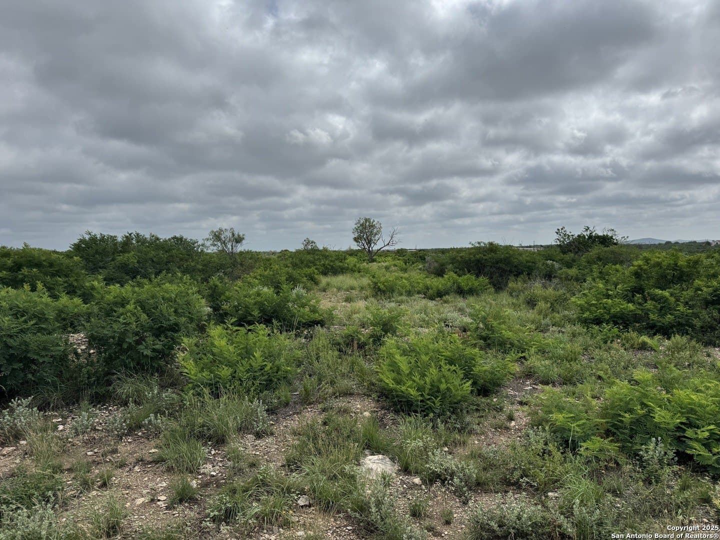 50 acres in Uvalde County
