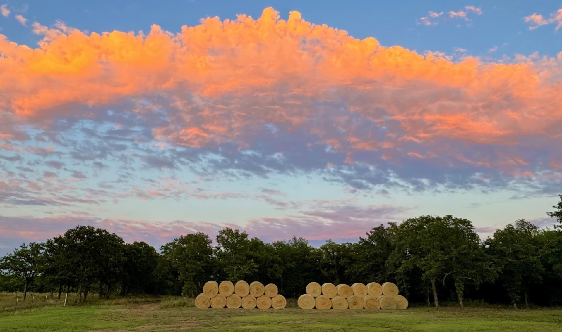 38.5 acres in Clay County - photo 38