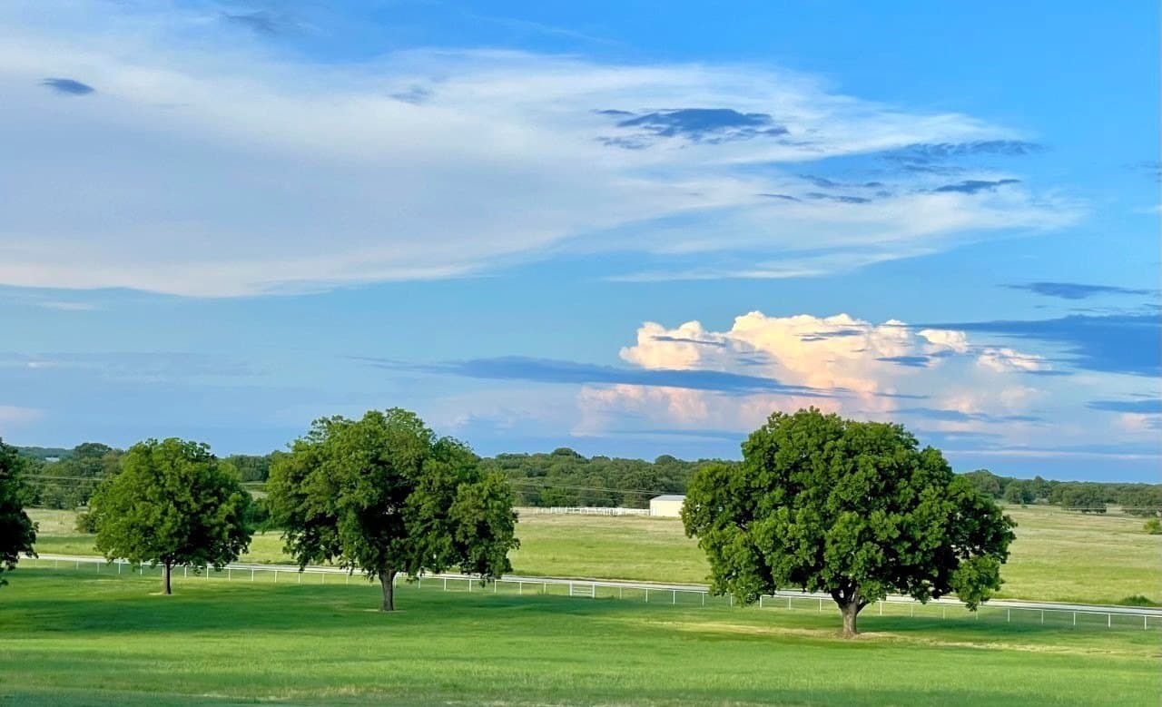 38.5 acres in Clay County - photo 37