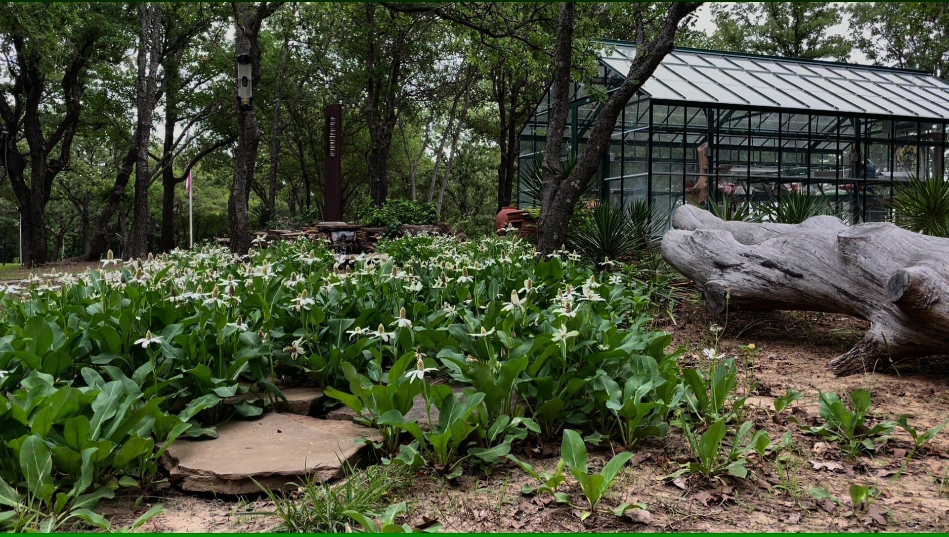 38.5 acres in Clay County - photo 19