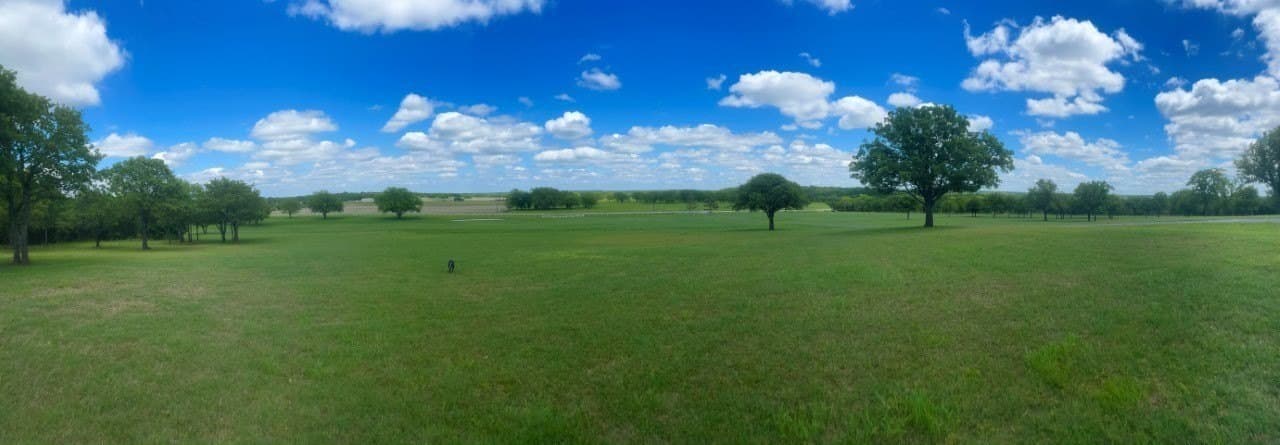 38.5 acres in Clay County - photo 39