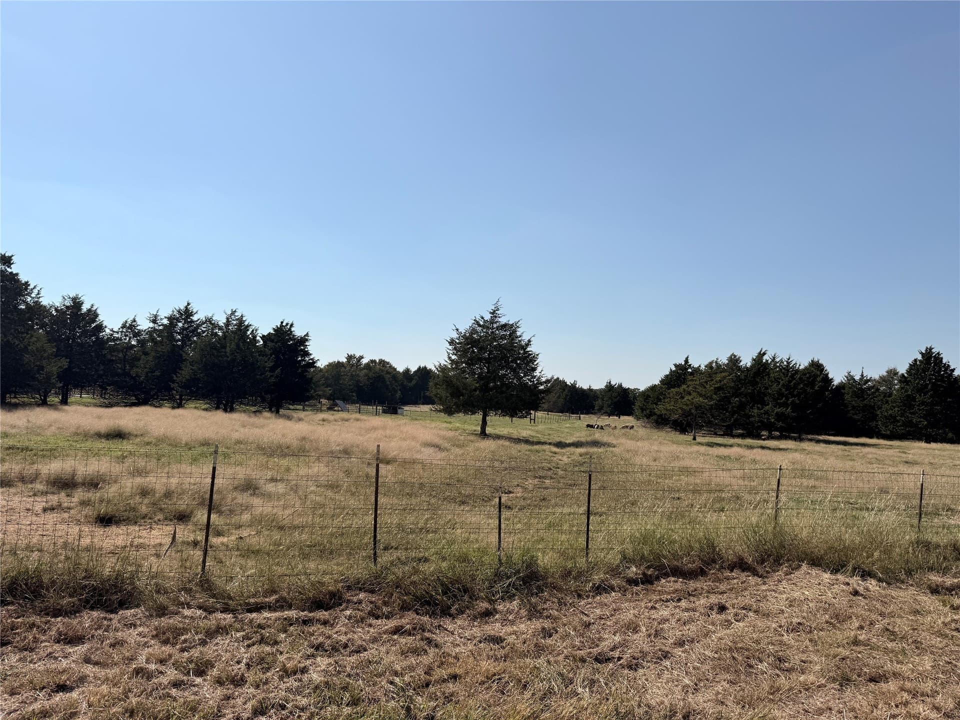 9 acres in Cooke County - photo 6