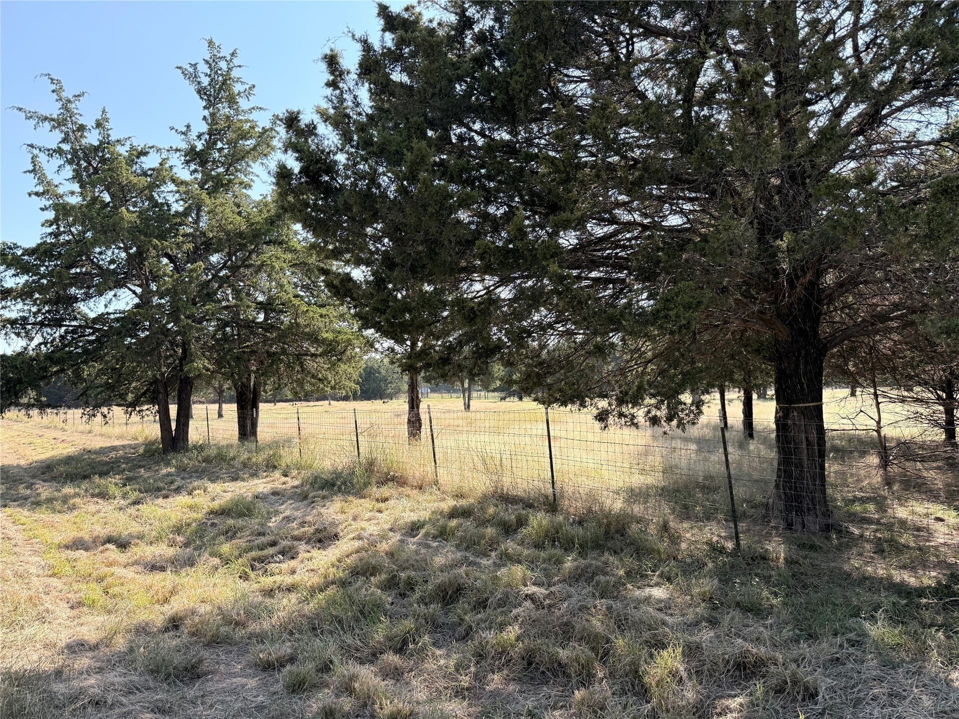 9 acres in Cooke County