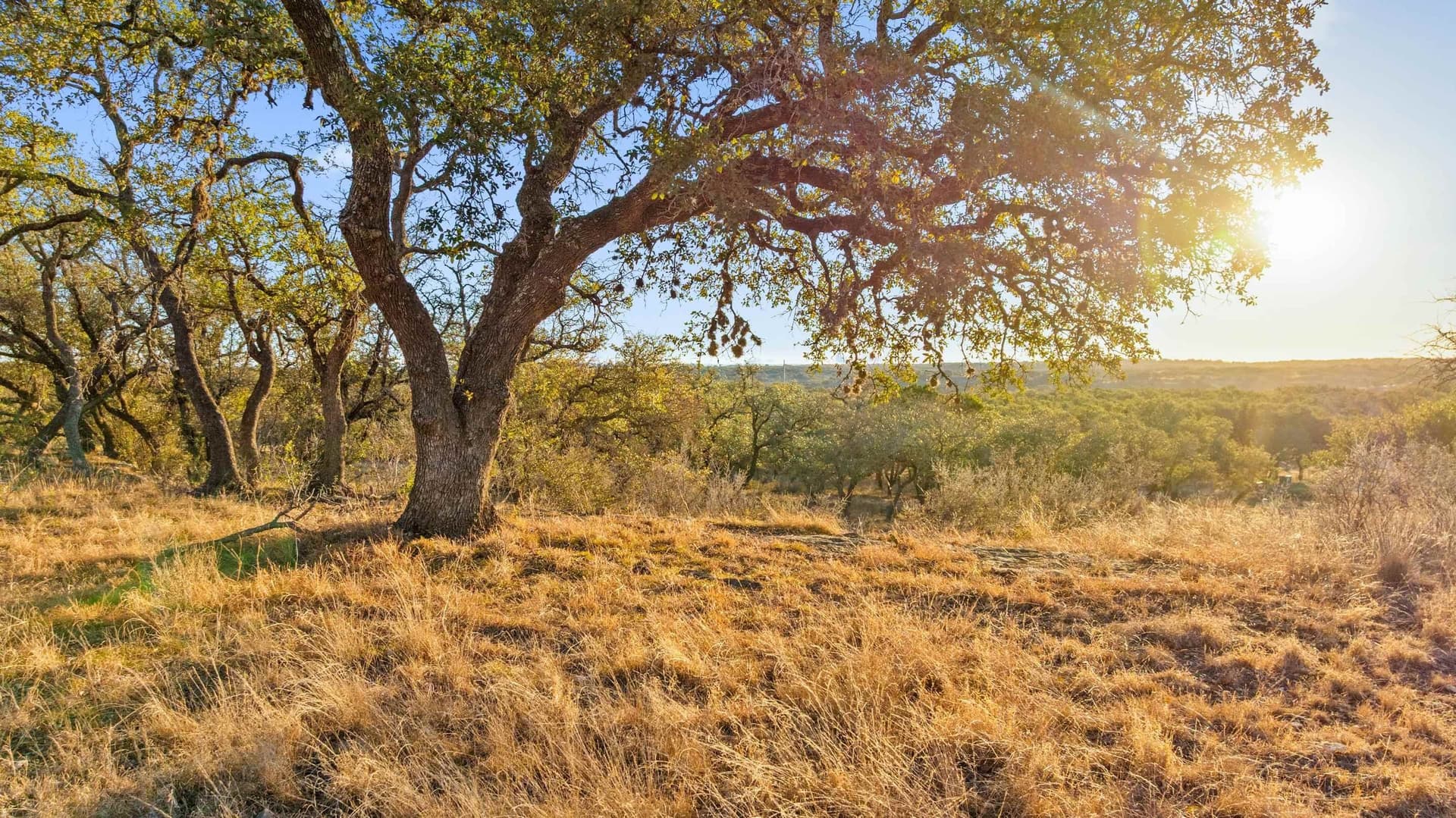 10.01 acres in Blanco County featured view