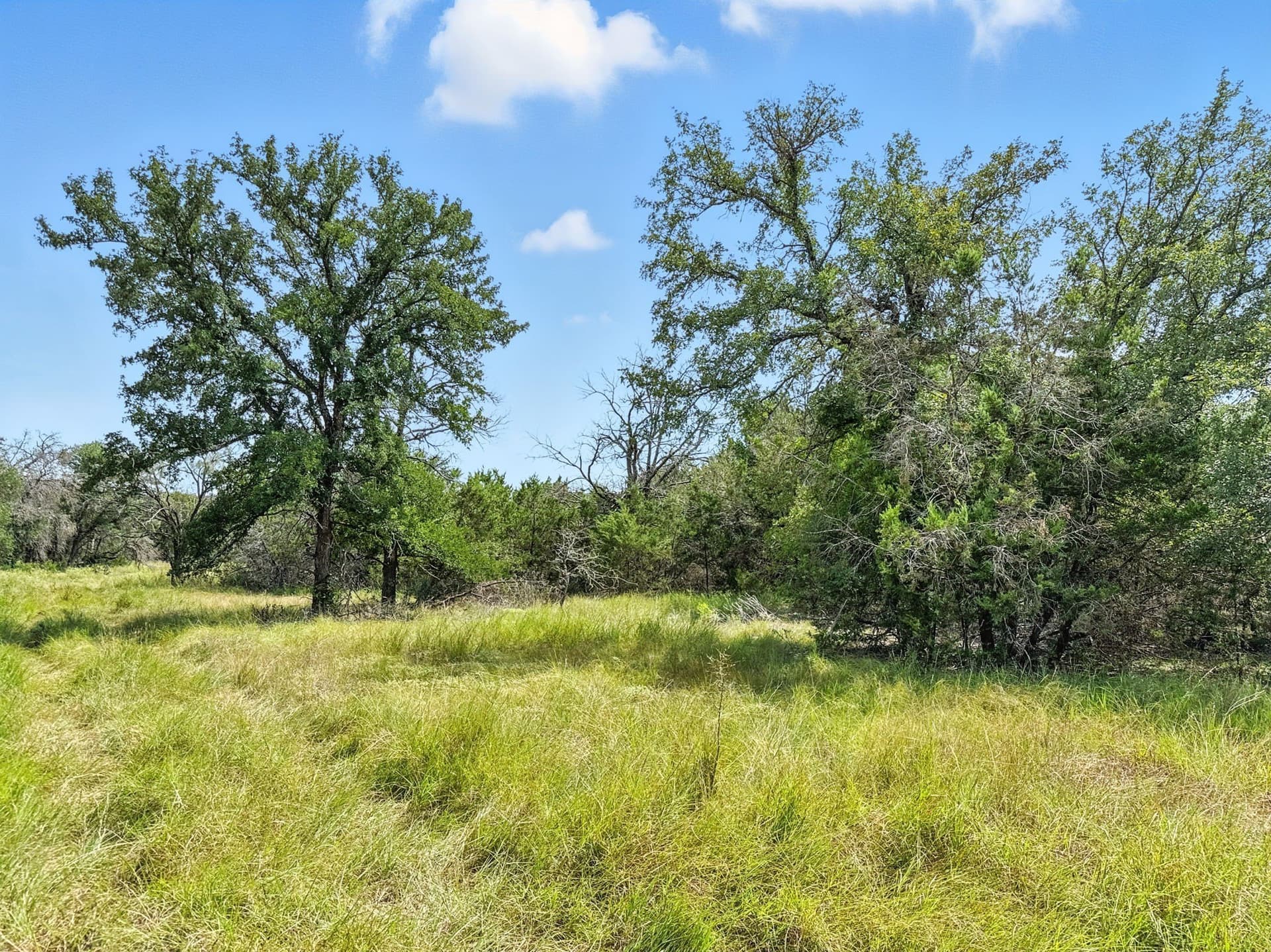 10.01 acres in Hamilton County - photo 11