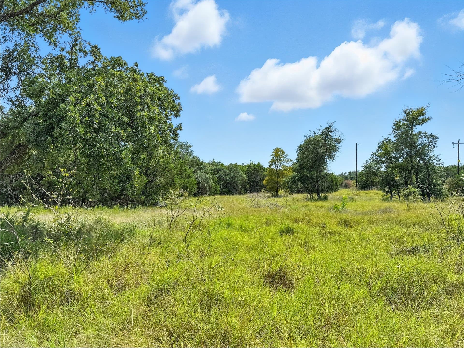 10.01 acres in Hamilton County - photo 8
