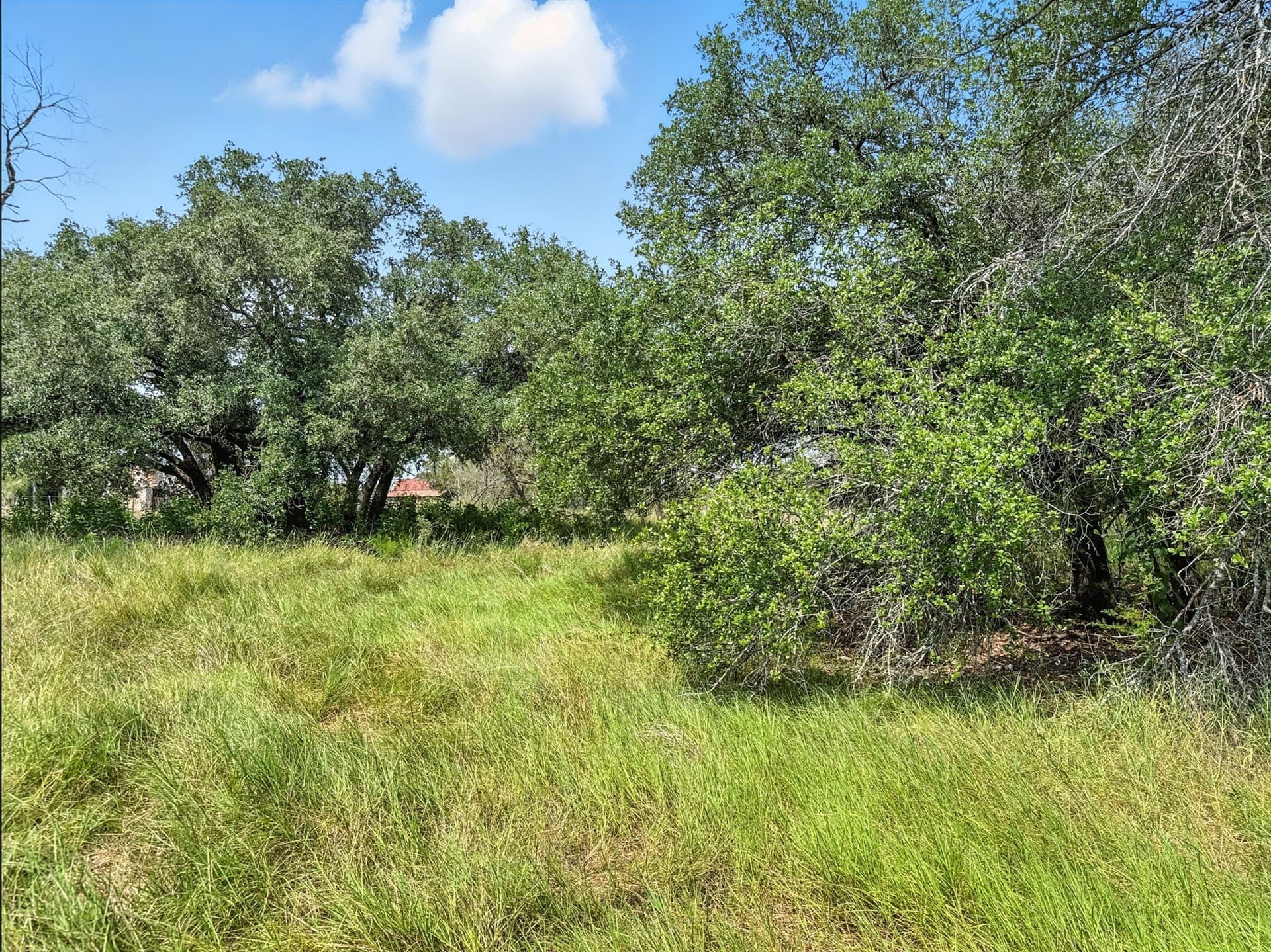 10.01 acres in Hamilton County - photo 21